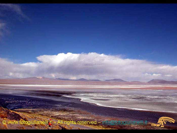 bolivia_altipiani_laguna_colorada_siloli_san_juan (127)