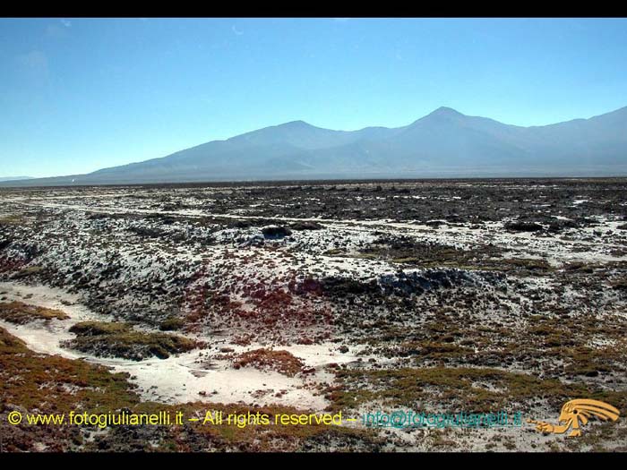 bolivia_altipiani_laguna_colorada_siloli_san_juan (31)