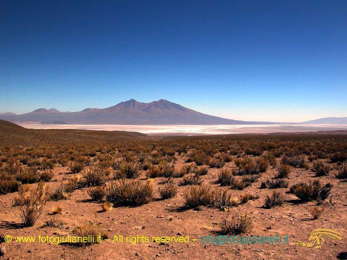 bolivia_altipiani_laguna_colorada_siloli_san_juan (40)