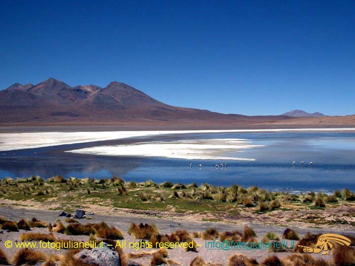 bolivia_altipiani_laguna_colorada_siloli_san_juan (58)