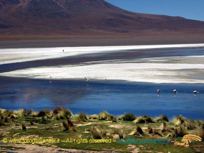 bolivia_altipiani_laguna_colorada_siloli_san_juan (60)