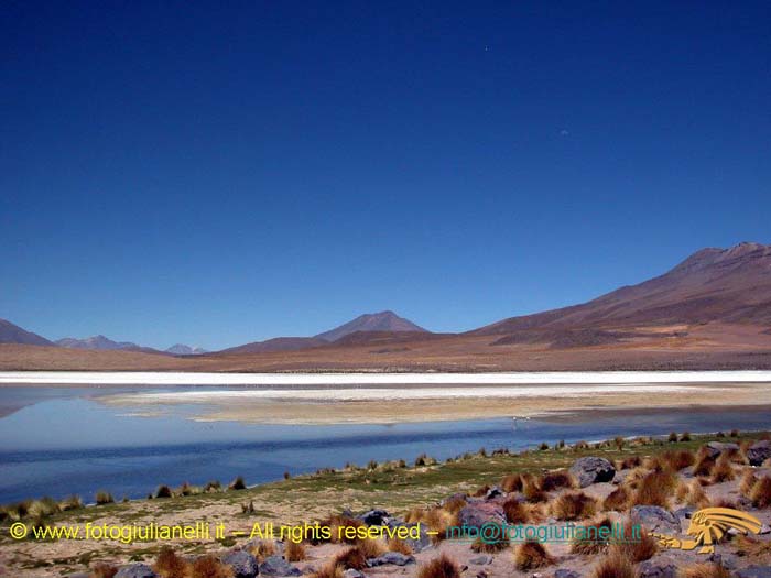 bolivia_altipiani_laguna_colorada_siloli_san_juan (61)