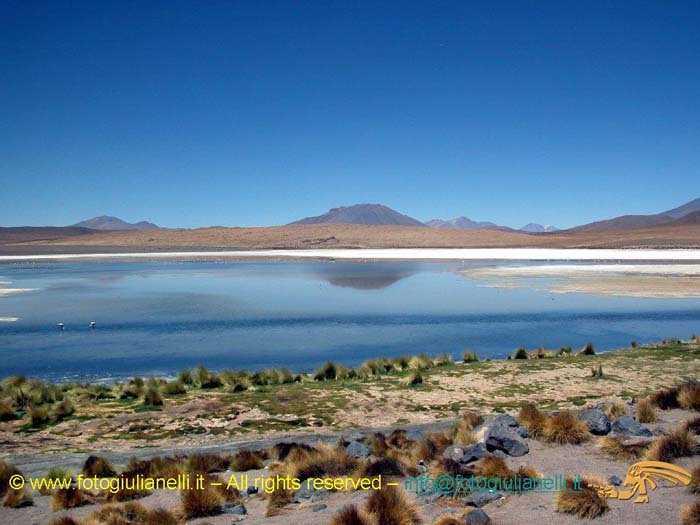 bolivia_altipiani_laguna_colorada_siloli_san_juan (62)