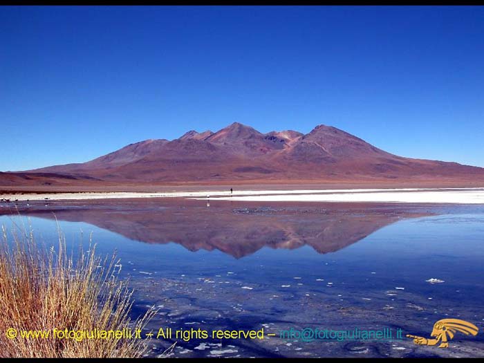 bolivia_altipiani_laguna_colorada_siloli_san_juan (64)