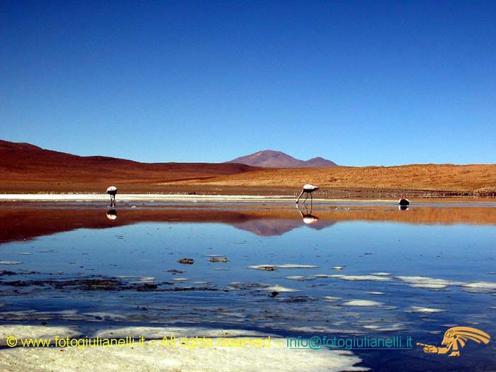 bolivia_altipiani_laguna_colorada_siloli_san_juan (67)