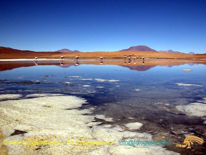 bolivia_altipiani_laguna_colorada_siloli_san_juan (68)