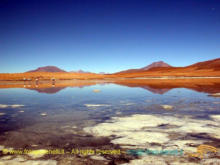 bolivia_altipiani_laguna_colorada_siloli_san_juan (69)