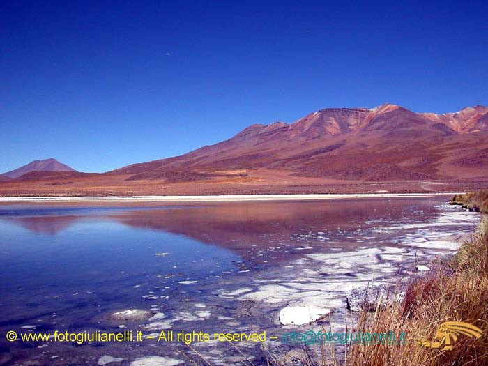 bolivia_altipiani_laguna_colorada_siloli_san_juan (70)