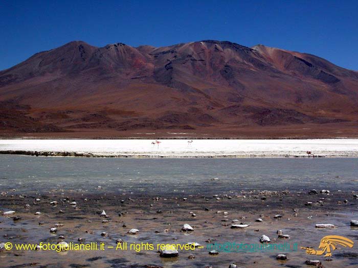 bolivia_altipiani_laguna_colorada_siloli_san_juan (73)