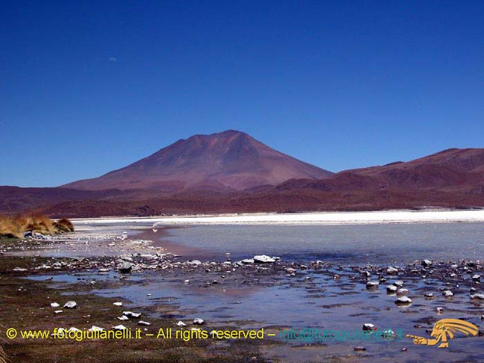 bolivia_altipiani_laguna_colorada_siloli_san_juan (74)