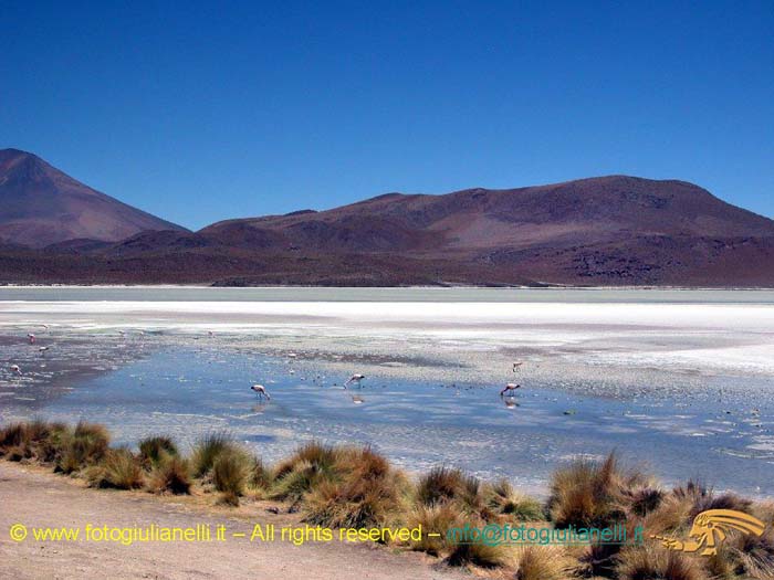 bolivia_altipiani_laguna_colorada_siloli_san_juan (80)