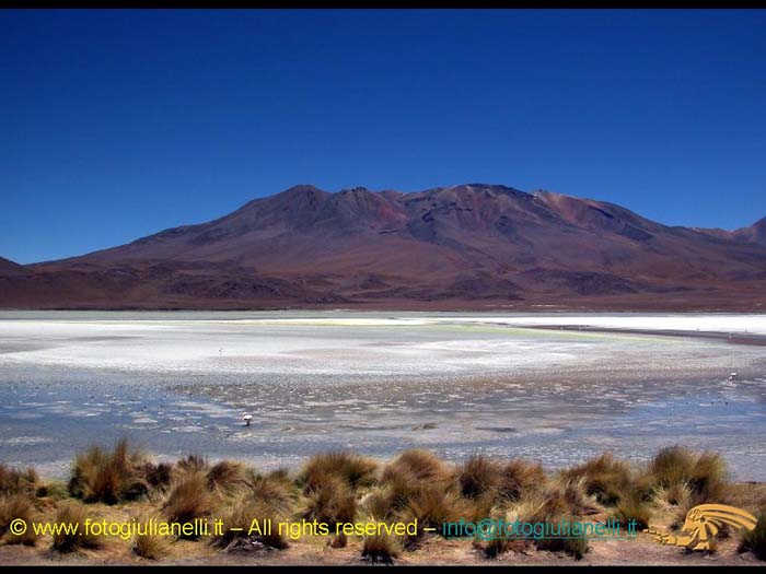 bolivia_altipiani_laguna_colorada_siloli_san_juan (81)