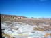 bolivia_altipiani_laguna_colorada_siloli_san_juan (32)