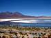 bolivia_altipiani_laguna_colorada_siloli_san_juan (58)