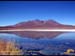 bolivia_altipiani_laguna_colorada_siloli_san_juan (64)