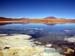 bolivia_altipiani_laguna_colorada_siloli_san_juan (68)