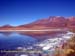 bolivia_altipiani_laguna_colorada_siloli_san_juan (70)