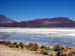 bolivia_altipiani_laguna_colorada_siloli_san_juan (80)