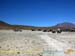 bolivia_altipiani_laguna_colorada_siloli_san_juan (82)