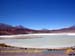 bolivia_altipiani_laguna_colorada_siloli_san_juan (96)