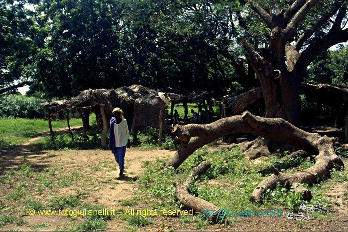 africa burkina faso ouagadougou (161)