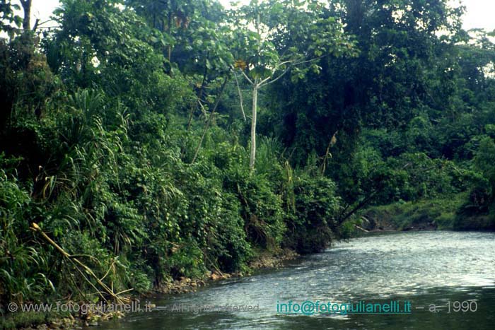 ecuador quito napo amazzonia 1990 (72)