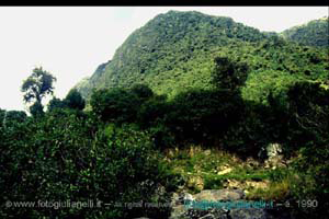 ecuador quito napo amazzonia 1990 (31)