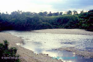 ecuador quito napo amazzonia 1990 (66)