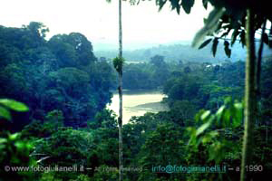 ecuador quito napo amazzonia 1990 (70)