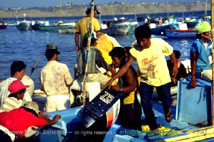 ecuador quito napo amazzonia 1990 (90)